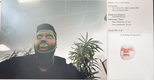 File:face-detection-001.gif